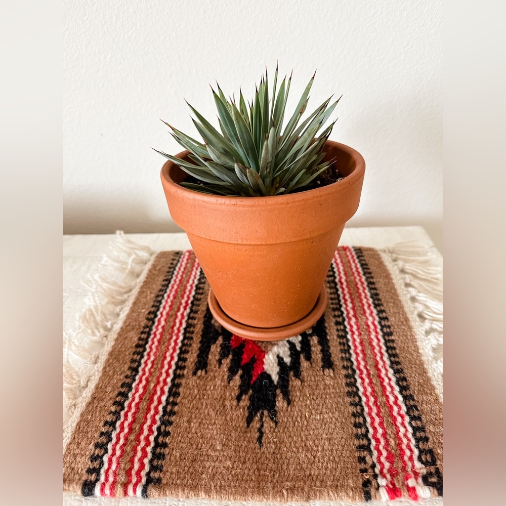 NEW Zapotec mat